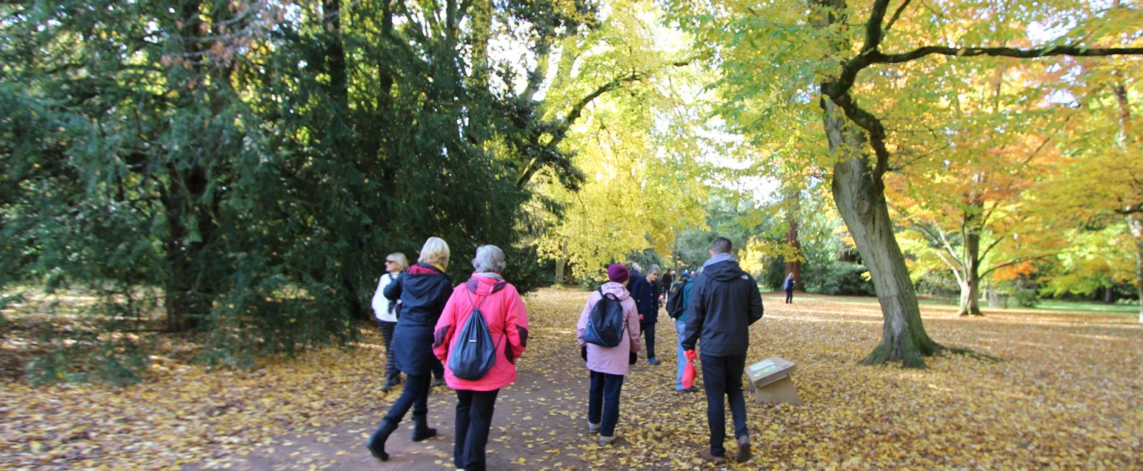 Community group walking in a park.