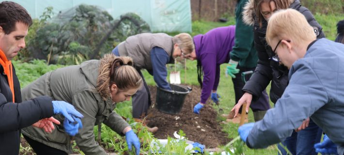 A community group working at the community garden