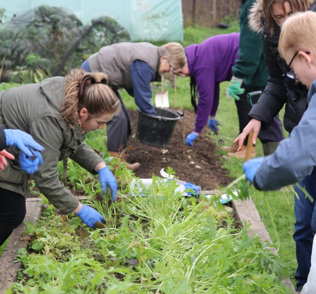 Members planting in the community garden.