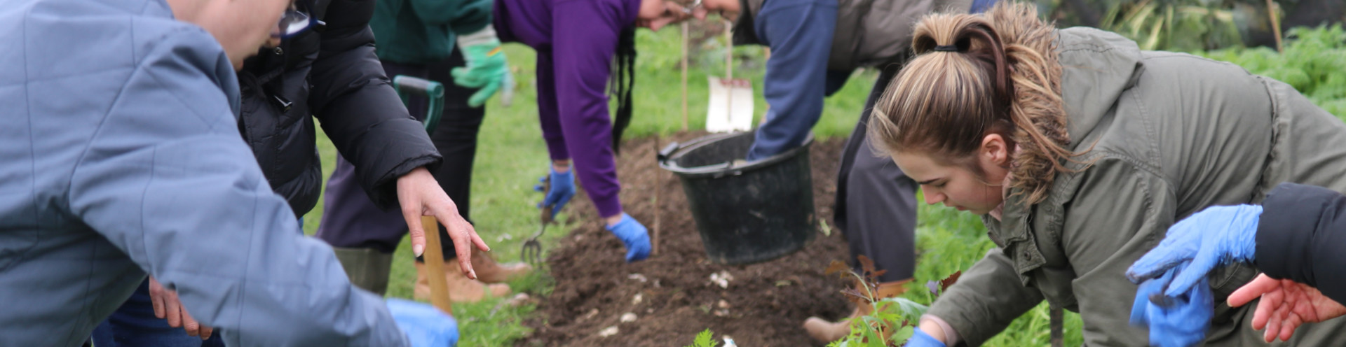 Community members working in the community garden.