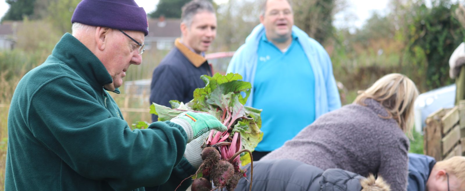 People harvesting together at the community garden.