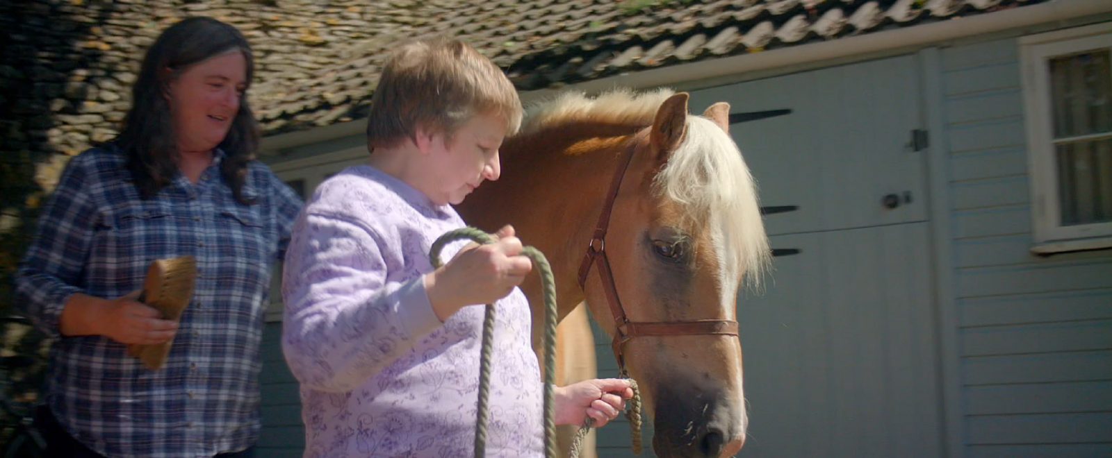 Roz walking a horse at Avening Equine Centre