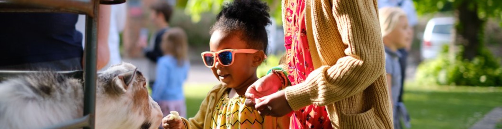 Children petting an animal during community picnic at the FestivALL 2019