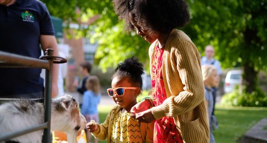 Children petting an animal during community picnic at the FestivALL 2019