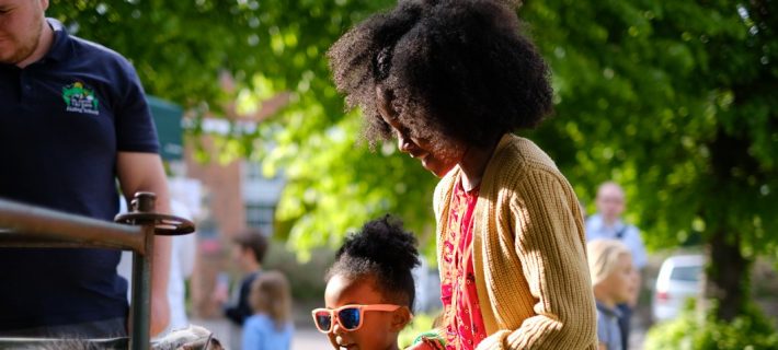 Children petting an animal during community picnic at the FestivALL 2019