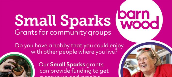 A Banner shows the details of Barnwoord Small Sparks Grant