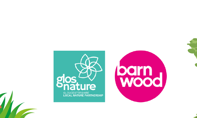 banner image with Glos nature logo and Barnwood Trust logo. There is a blade of grass on the left of the logos and a tree on the right of the logos