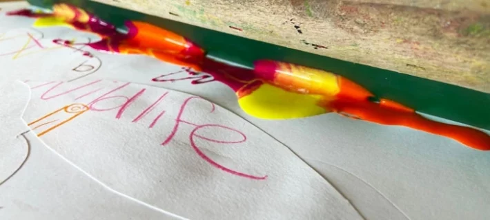 Photo of artwork from 'Thinking differently about Diversity' exhibition at Westonbirt