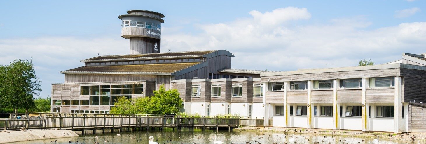 Photo of the main building at WWT Slimbridge Wetland Centre