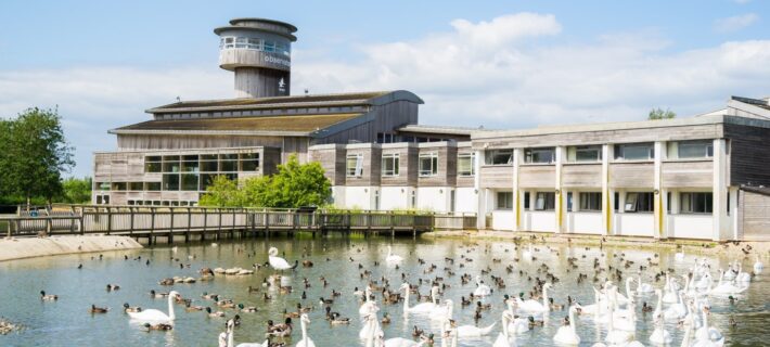 Photo of the main building at WWT Slimbridge Wetland Centre