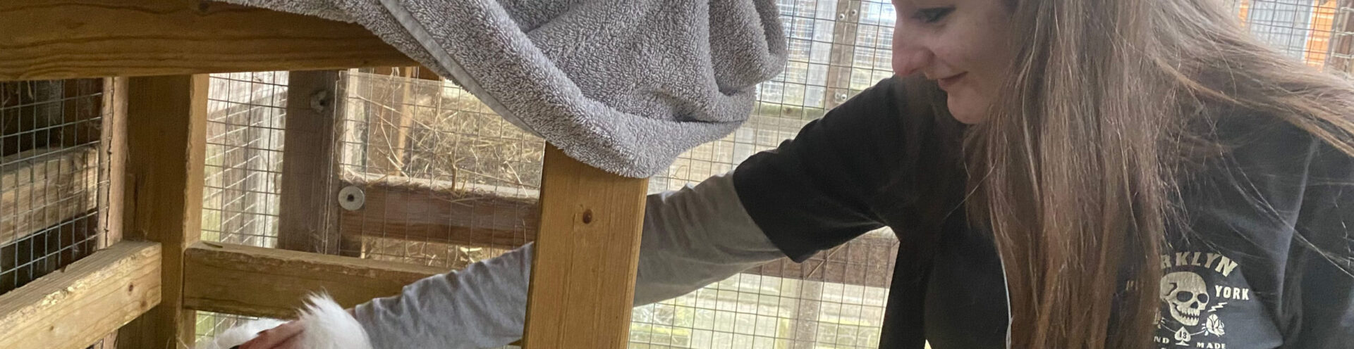 Nicky's daughter visiting the HALT project as a short break, stroking the rabbits in the hutch.