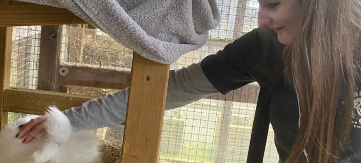 Nicky's daughter visiting the HALT project as a short break, stroking the rabbits in the hutch.