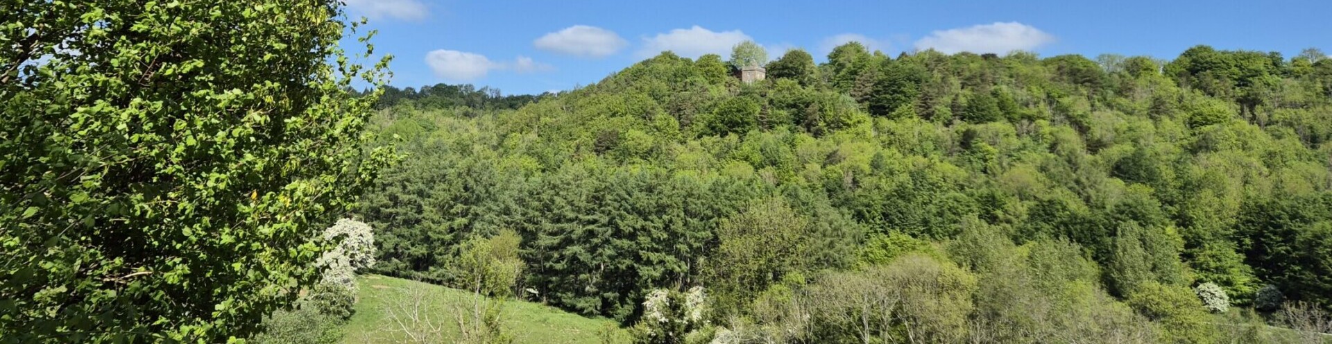 A photo of countryside with fields, trees and a clear sky with a few small clouds.