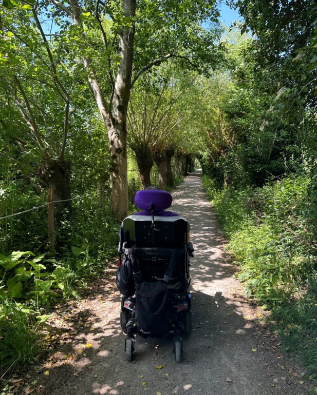 A person in a wheelchair moving a long a path in a wooded area with trees on either side of the path.