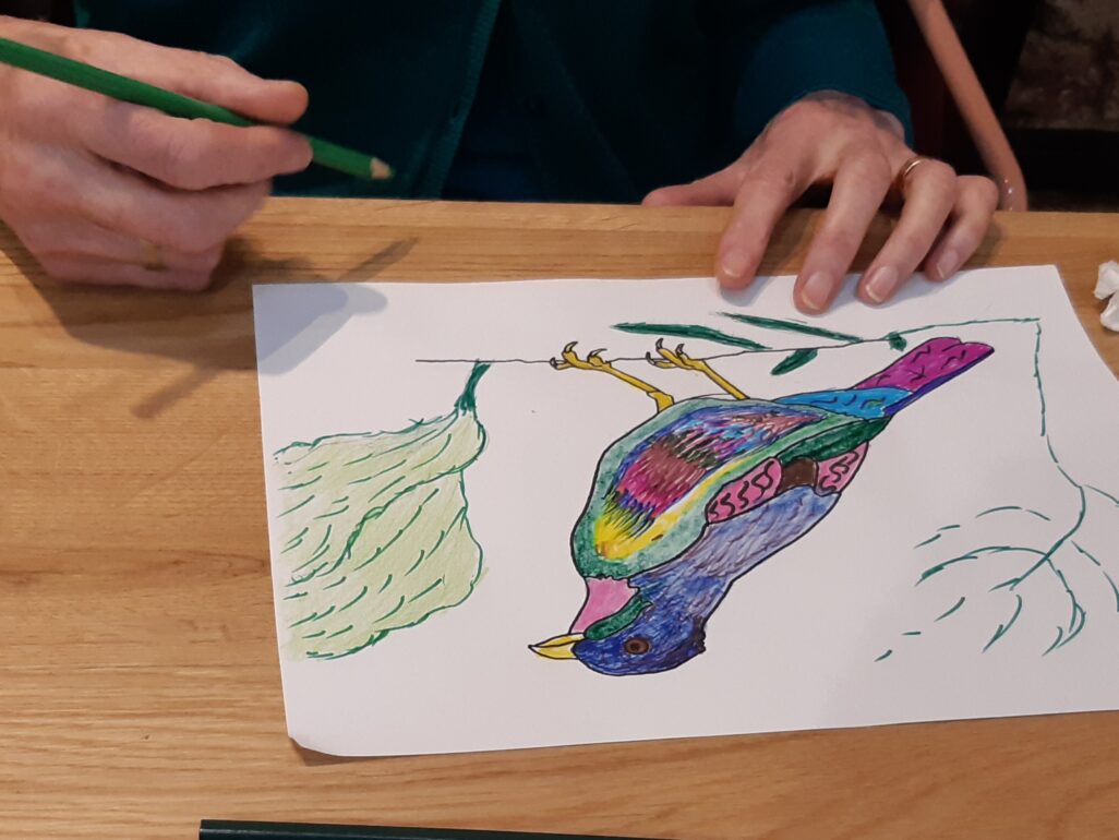 A close up of someone holding a pencil while colouring in a picture of a bird.