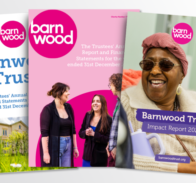 The covers of the last 3 annual reports